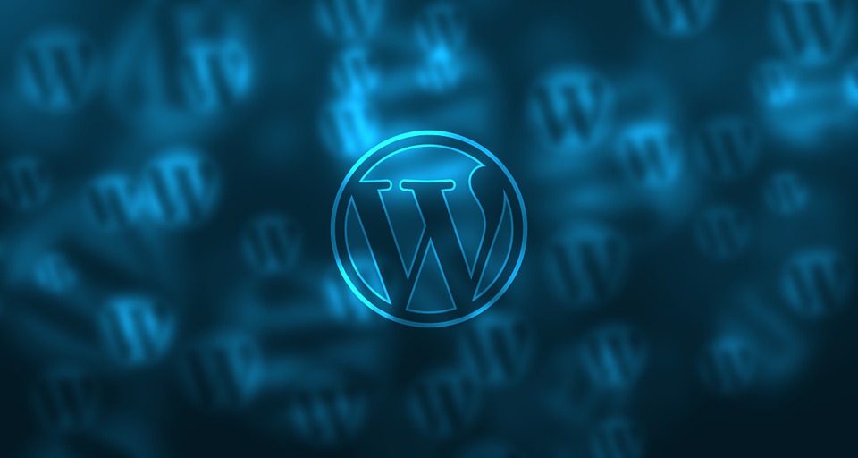 wordpress what to expect